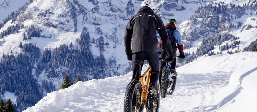 thelink-article-052018-alice