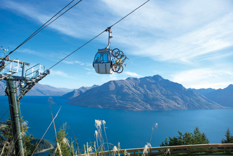 16-day-Dreamer-768x500