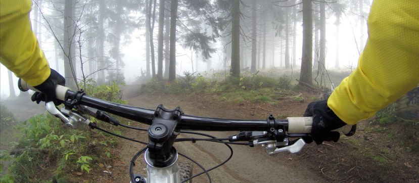 thelink-article-062018-sam