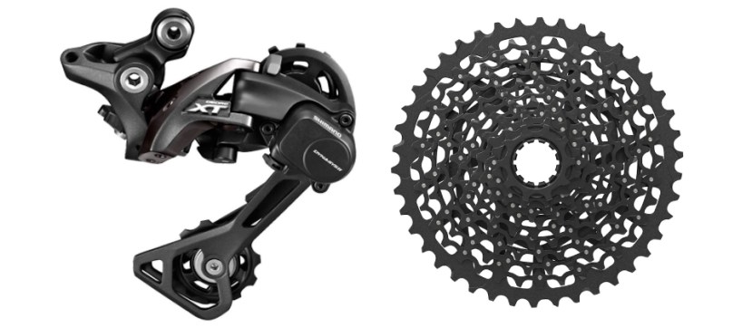 thelink-article-072018-toby