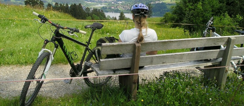 thelink-article-012018-jodi