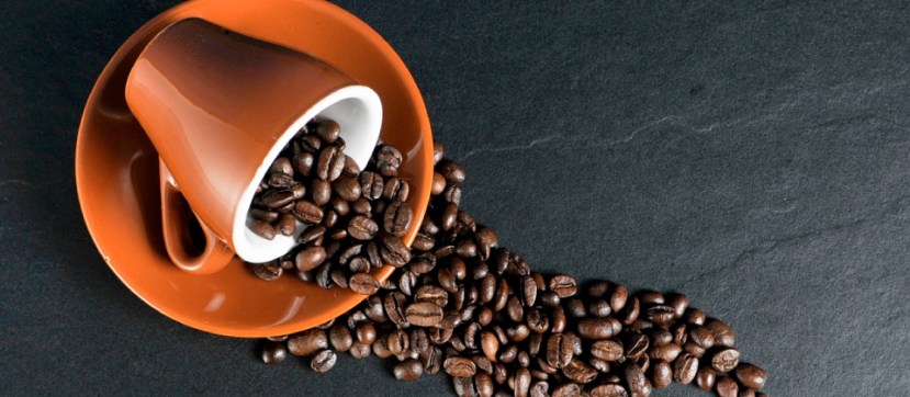 thelink-article-102018-janine