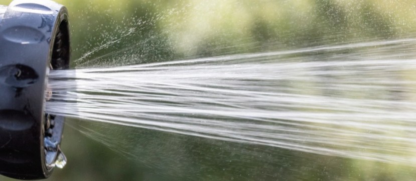 thelink-samluff-header-042019