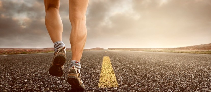 thelink-stuart-header-052019